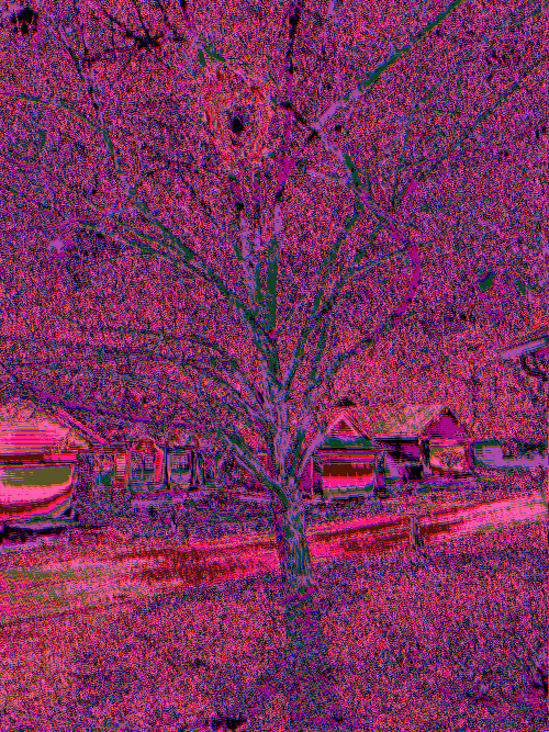 Front Yard Two Byte Frame 3