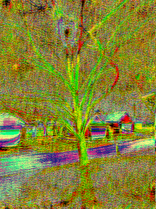 Front Yard Two Byte Frame 5