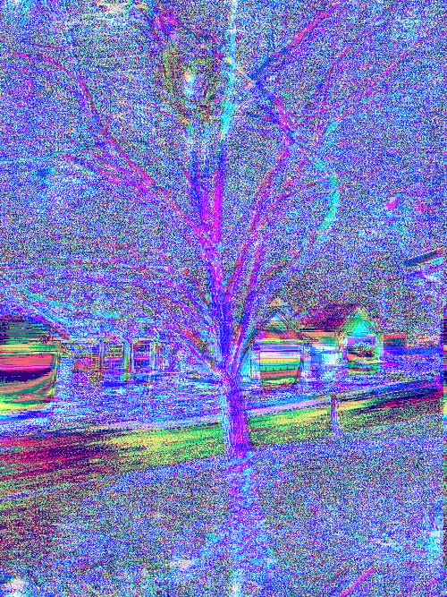 Front Yard Two Byte Frame 6