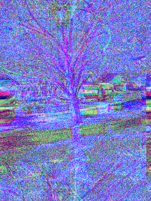 Front Yard Two Byte Frame 8