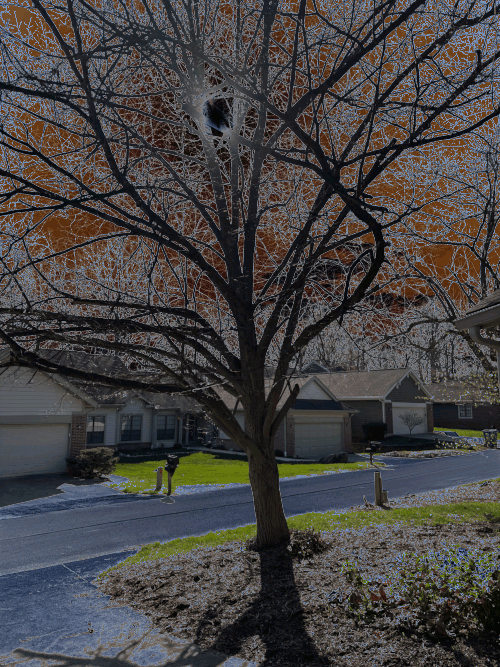 Front Yard Two Byte GIF