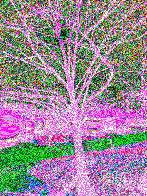 Front Yard Two Byte Inverse